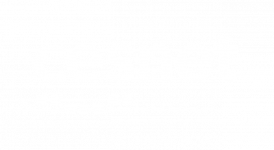 Logo White